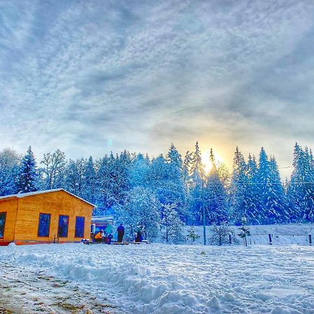 Hotel Eco House In Bakuriani Εξωτερικό φωτογραφία
