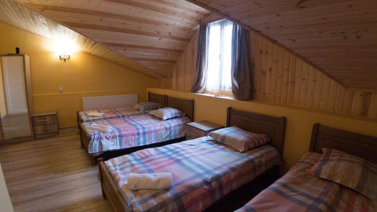 Hotel Eco House In Bakuriani Εξωτερικό φωτογραφία