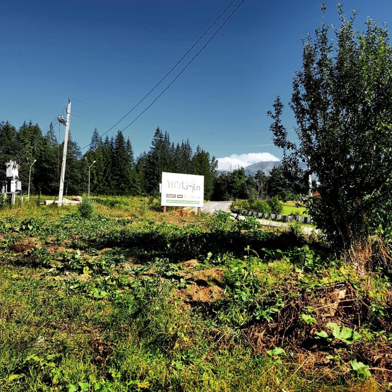 Hotel Eco House In Bakuriani Εξωτερικό φωτογραφία