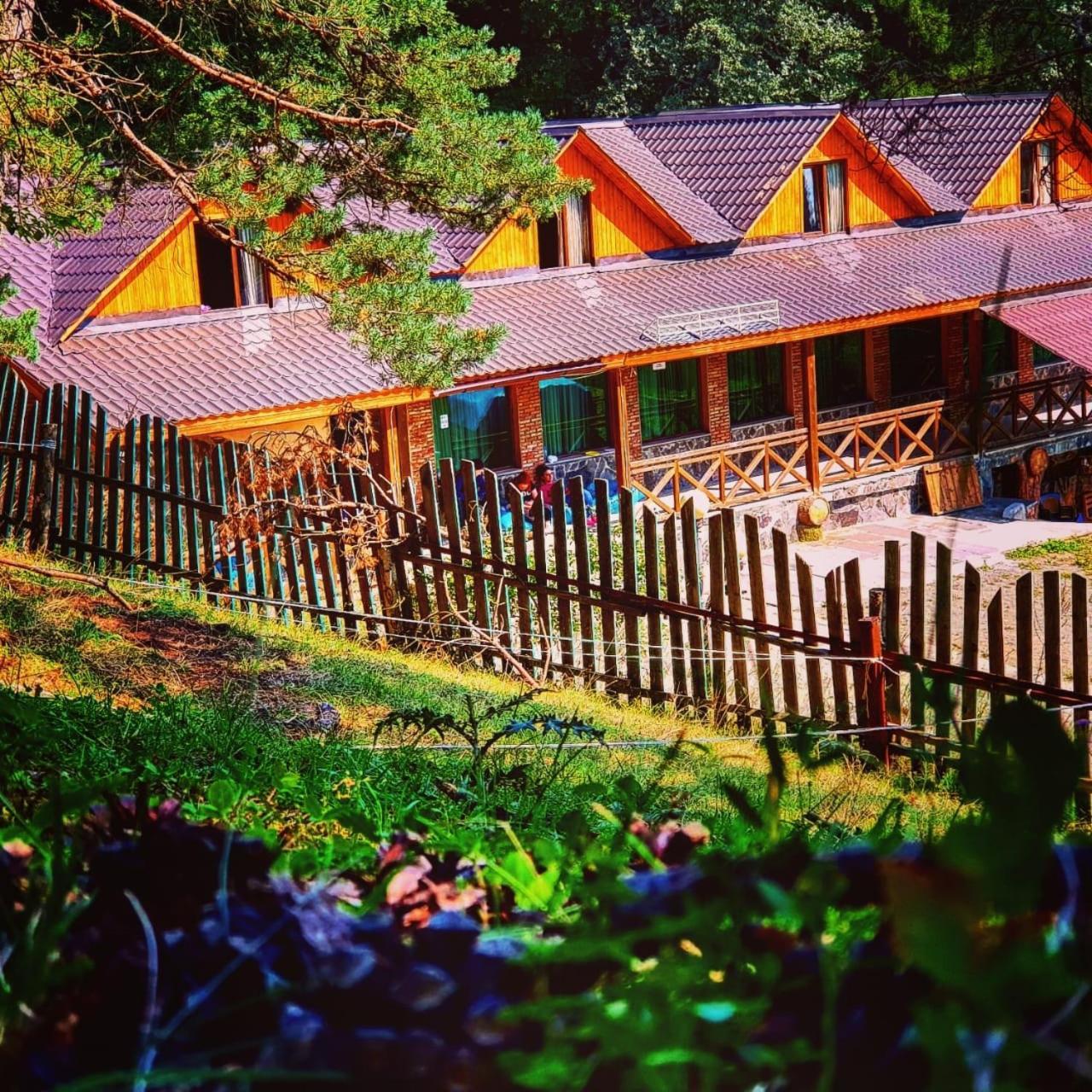 Hotel Eco House In Bakuriani Εξωτερικό φωτογραφία
