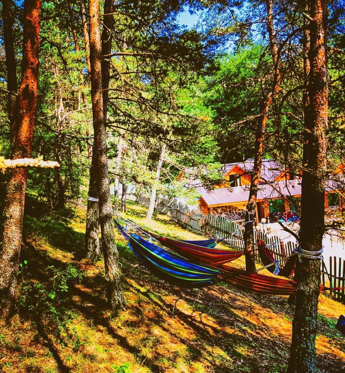 Hotel Eco House In Bakuriani Εξωτερικό φωτογραφία