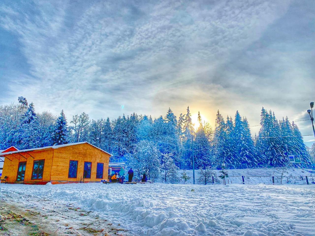 Hotel Eco House In Bakuriani Εξωτερικό φωτογραφία