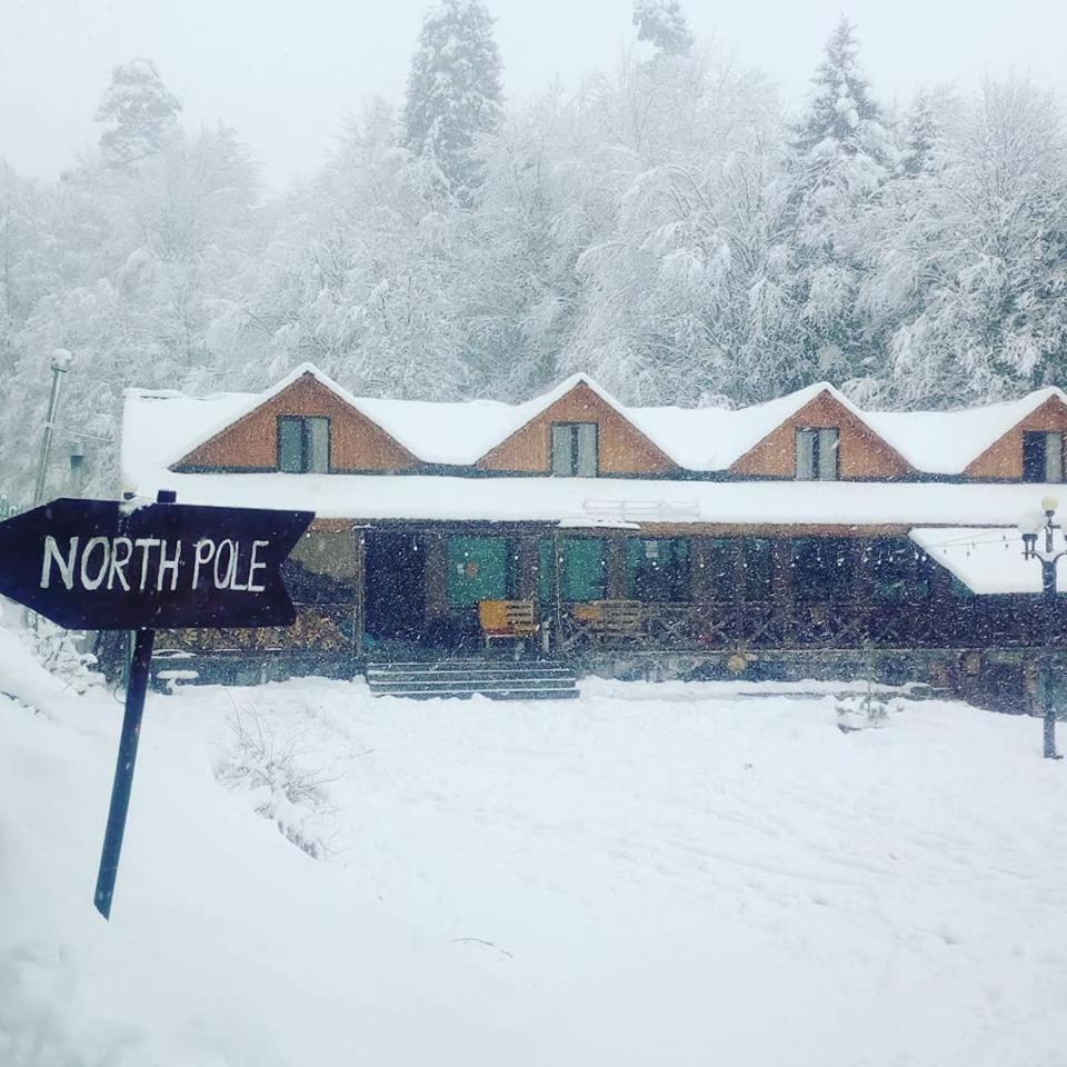Hotel Eco House In Bakuriani Εξωτερικό φωτογραφία