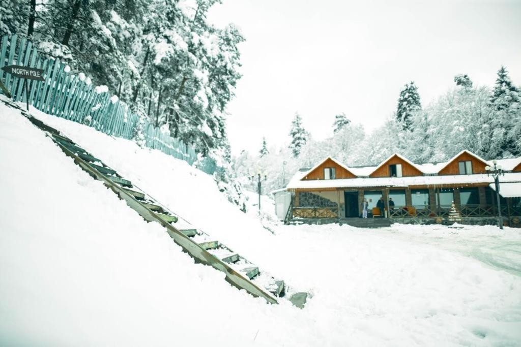Hotel Eco House In Bakuriani Εξωτερικό φωτογραφία